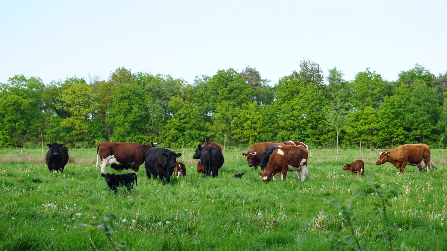 Grassfed Tallow Cream - 50ml